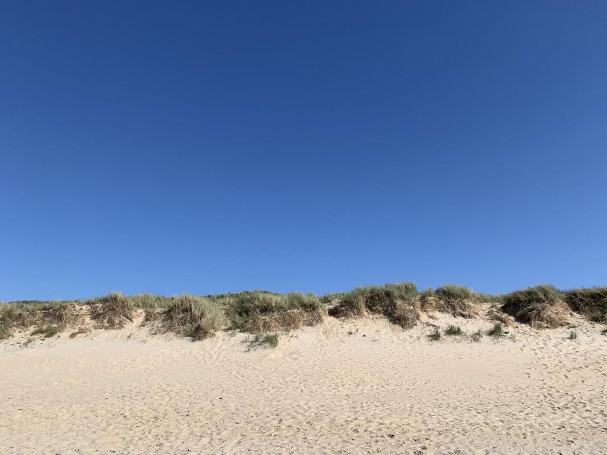 Studio Beach House By Interhome De Haan Bagian luar foto